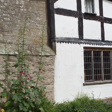 Walford Court Bed and Breakfast Leintwardine Εξωτερικό φωτογραφία